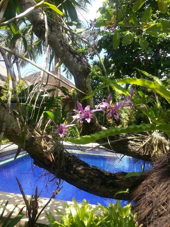 Sanur Beach Villas Εξωτερικό φωτογραφία